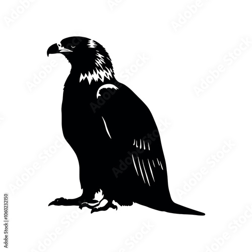 a Golden eagle sitting on the ground silhouette