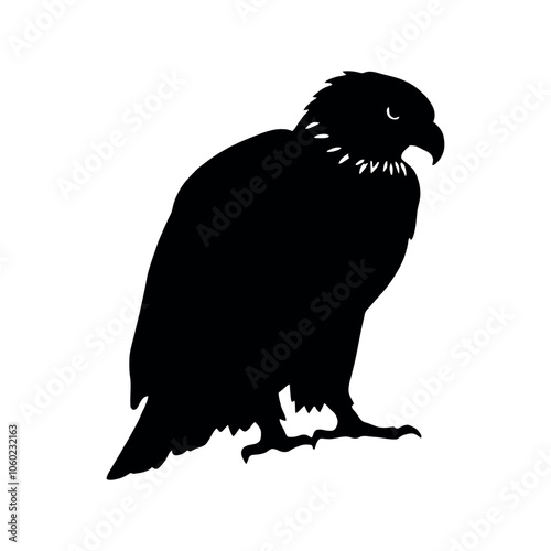 a Golden eagle sitting on the ground silhouette