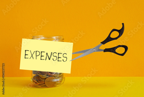 Cut expenses and spending as financial concept. Tracking expenses