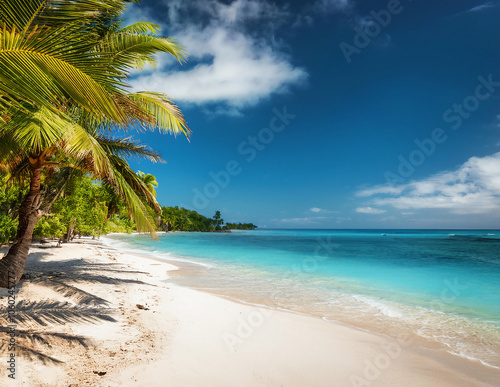 Strand einer Insel in der karibik