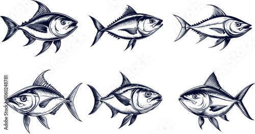 Different Species of Fish Illustrated in a Decorative Style for Educational Purposes