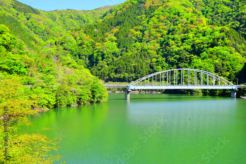 丹沢湖 神奈川県山北町の風景