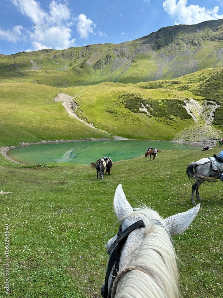 Naklejka premium Amazing view