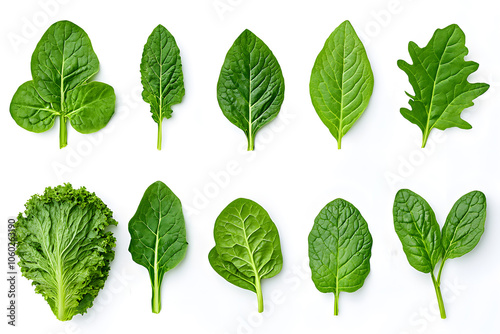 Fresh organic leafy greens, isolated on white background