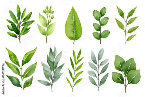 Watercolor Set of Tropical leaves, isolated on white background