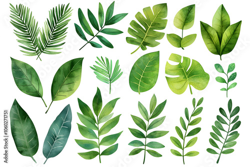 Watercolor Set of Tropical leaves, isolated on white background