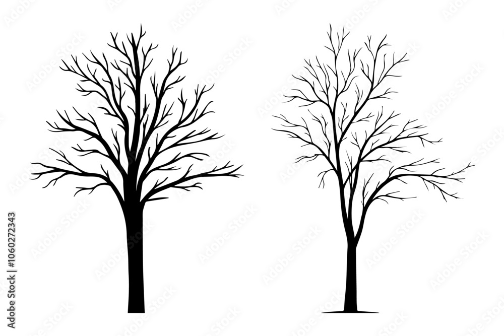 Obraz premium Vector bare tree. black tree without leaves A surreal illustration of a woman tree 