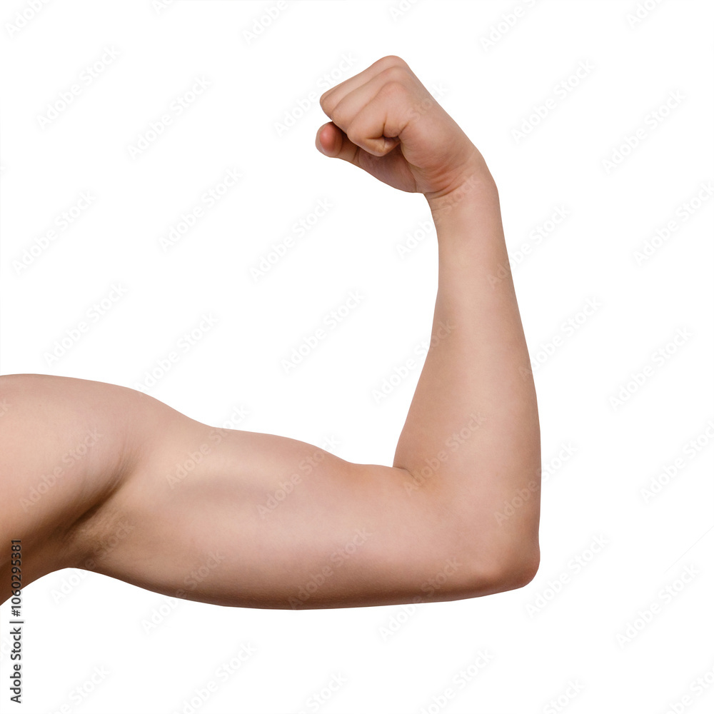 Male arm of caucasian young man muscles close-up, front view, png, isolated on transparent background. fist expressing strength and power Male arm of caucasian young man muscles close-up, front view, png, isolated on transparent background. fist expressing strength and power