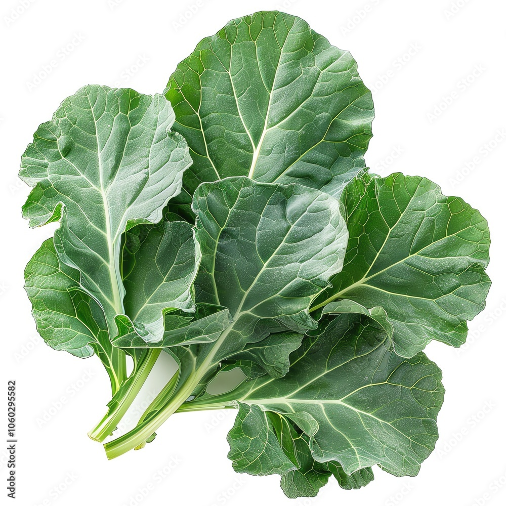 Chinese kale leaves, isolated on white background, perfect pastel tone, whimsical style, high resolution, professional create, very detailed, high quality Chinese kale leaves, isolated on white background, perfect pastel tone, whimsical style, high resolution, professional create, very detailed, high quality