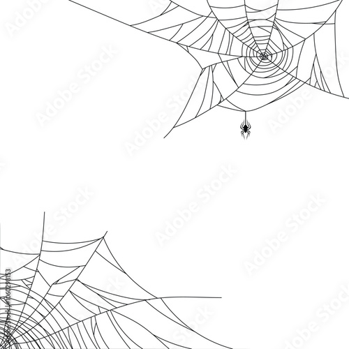 spider web halloween background, scary spider and cobweb on white background