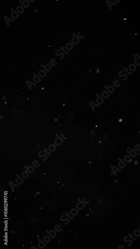 vertical footage of dust dark background