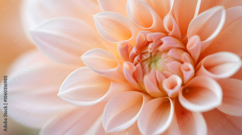 Fototapeta premium spring flower