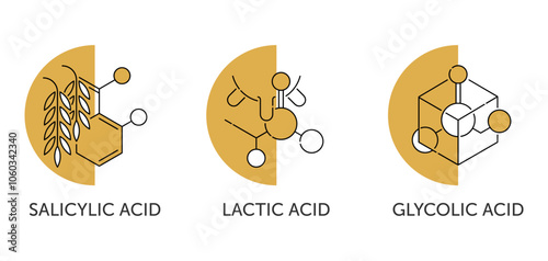 Glycolic, Lactic, Salicylic acid. Icons set in semicircle shape and thin line