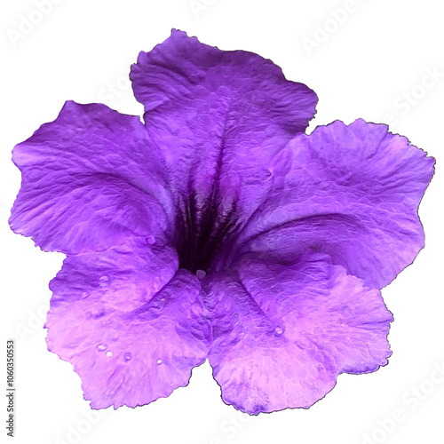 Purple violet flower isolated on transparent background