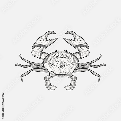 Retro engraving style crab, a crustacean. Seafood in vintage style, black and white, and gray.