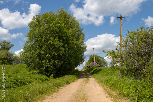 Tableau sur toile Summer rural landscape
