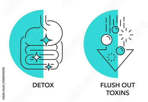 Detox and Flush Out Toxins for food supplement