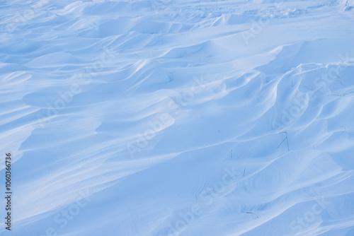 Snow texture. Wind sculpted patterns on snow surface. Wind in the tundra and in the mountains on the surface of the snow sculpts patterns and ridges (sastrugi). Arctic, Polar region. Winter background