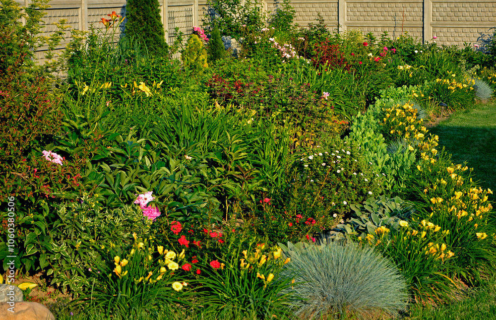 kolorowa rabata kwiatowa otoczona niskimi liliowcami odmiany Stella d'Oro, kwietnik otoczony obwódką z żółtych liliowców, Hemerocallis, Stella D'Oro Daylily Garden