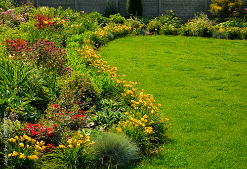 Obraz na płótnie kolorowa rabata kwiatowa otoczona niskimi liliowcami odmiany Stella d'Oro, kwietnik otoczony obwódką z żółtych liliowców, Hemerocallis, Stella D'Oro Daylily Garden, ogród kwiatowy, flowers garden
w salonie