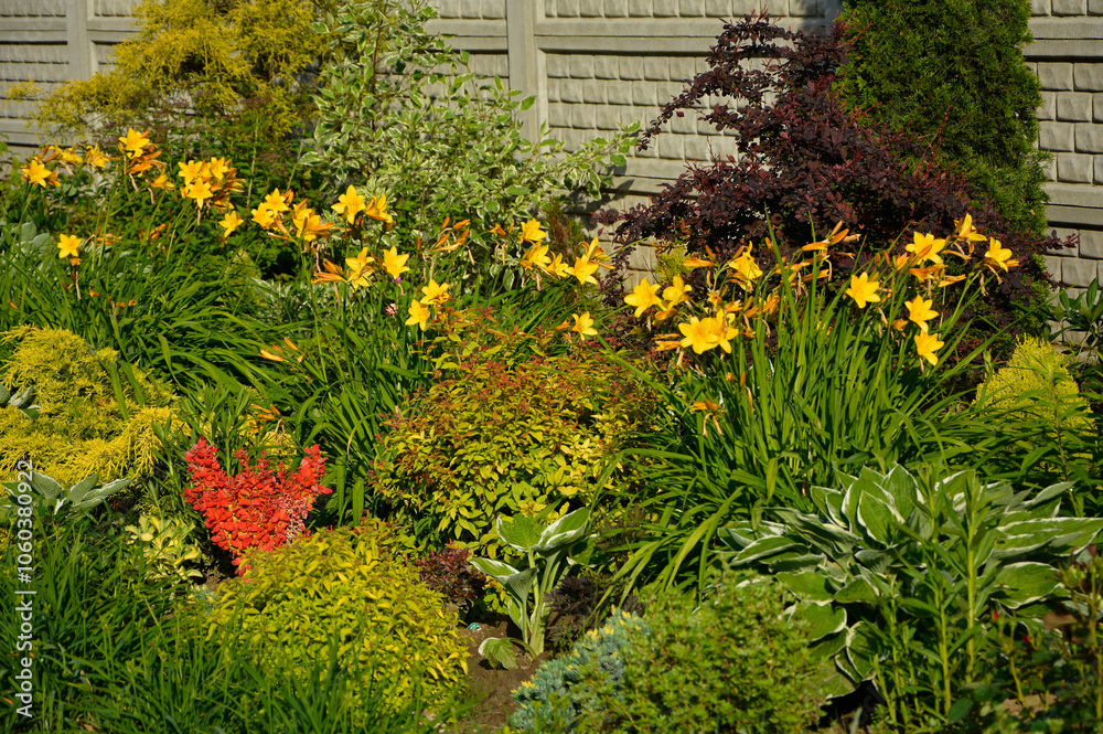 piękny ogród, rabata z bylinami i krzewami w wiosennym ogrodzie, kolorowa rabata w ogrodzie, flowerbed with perennials, Liliowiec Dumortiera, Hemerocallis dumortieri, gardem design
