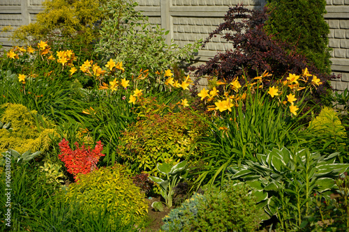 Obraz na płótnie piękny ogród, rabata z bylinami i krzewami w wiosennym ogrodzie, kolorowa rabata w ogrodzie, flowerbed with perennials, Liliowiec Dumortiera, Hemerocallis dumortieri, gardem design
w salonie