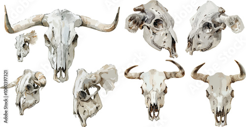 cow skull watercolor clipart	
