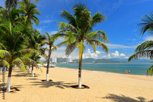 Nha Trang city, Vietnam - October 29, 2024 : Overlooking the beautiful coast of Nha Trang with palm trees on the beach with deck chair and parasol. Beautiful white sand tropical beach in coastal city.