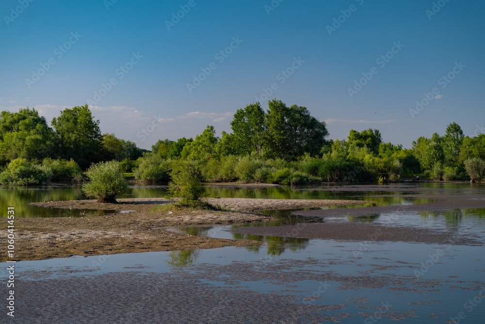 Summer landscape with a delta and a quiet lake reflecting a willow in the water. Natural habitat for numerous wild species in the environment. The wonderful green nature in all its splendor Summer landscape with a delta and a quiet lake reflecting a willow in the water. Natural habitat for numerous wild species in the environment. The wonderful green nature in all its splendor