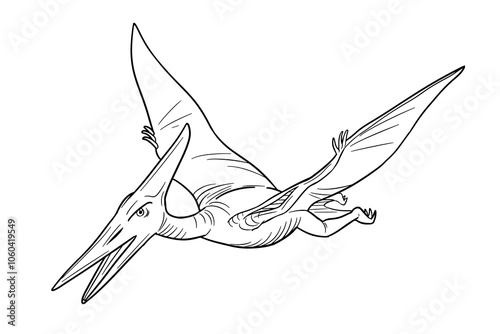 Vector line art illustration of dinosaur Pterodactyl. Black and white outline.