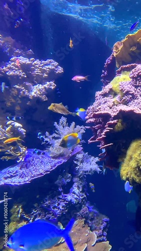 Les poissons