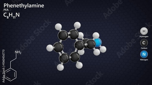 Phenethylamine. Monoamine alkaloid. Animated 3D model of a molecule. Molecular formula: C8H11N. Chemical model: Ball and stick. Dark background. 3D rendering. Seamless loop. photo