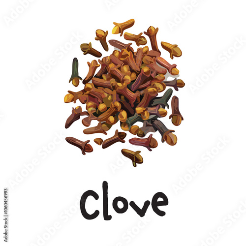 Vector Oil Painting Clove Spice