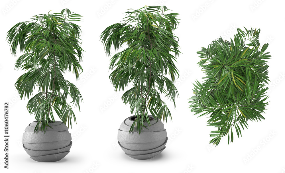 3d render Plant pot in different angles isolated on white background . different angle 3d render Plant pot in different angles isolated on white background . different angle