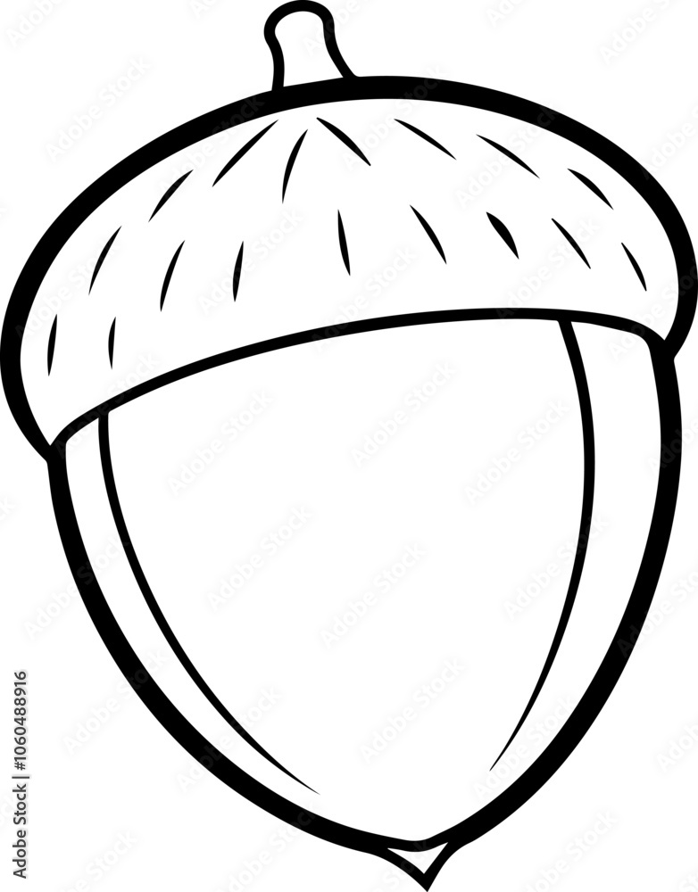Acorn outline vector illustration Acorn outline vector illustration