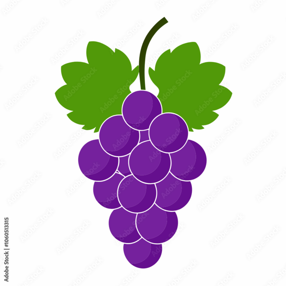 bunch of grapes isolated on white background bunch of grapes isolated on white background