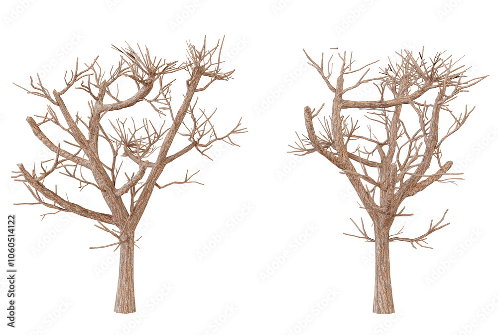 Artistic representation of two barren trees against a dark background showcasing intricate branch formations during a still winter night Artistic representation of two barren trees against a dark background showcasing intricate branch formations during a still winter night