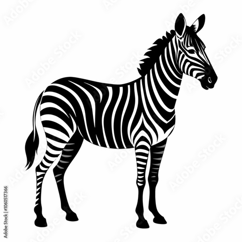 zebra vector illustration