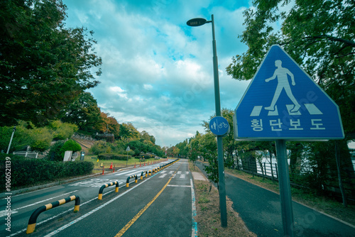 횡단보도 공원 길 