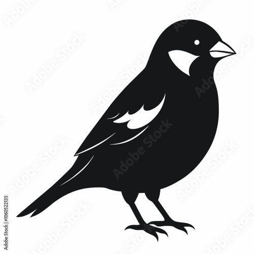bird on a branch