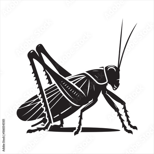 Katydid silhouette vector art illustration