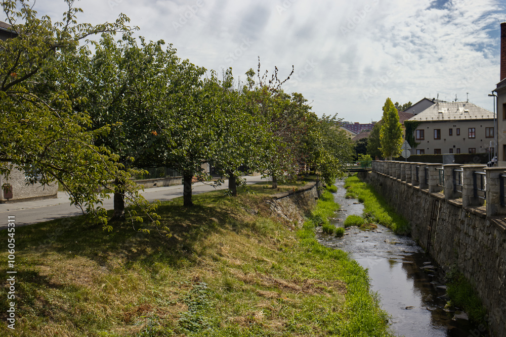 Fototapeta premium photo of a small stream with a concrete bed. Tree-lined avenue along the stream. The main street of a small village with a stream running through it. River, grass, trees, houses, sky.