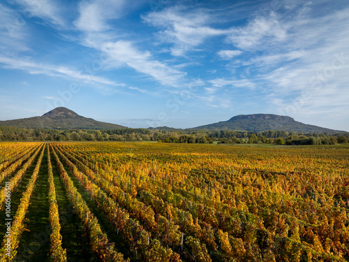 Vineyards at autumn in Balaton uplands. Famous Tanuhegyek on the background