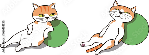 ボールに寄り掛かって、リラックスして寝る猫(茶トラ)