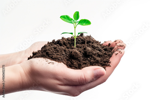 A hand holding soil with a young plant, isolated on a white background.