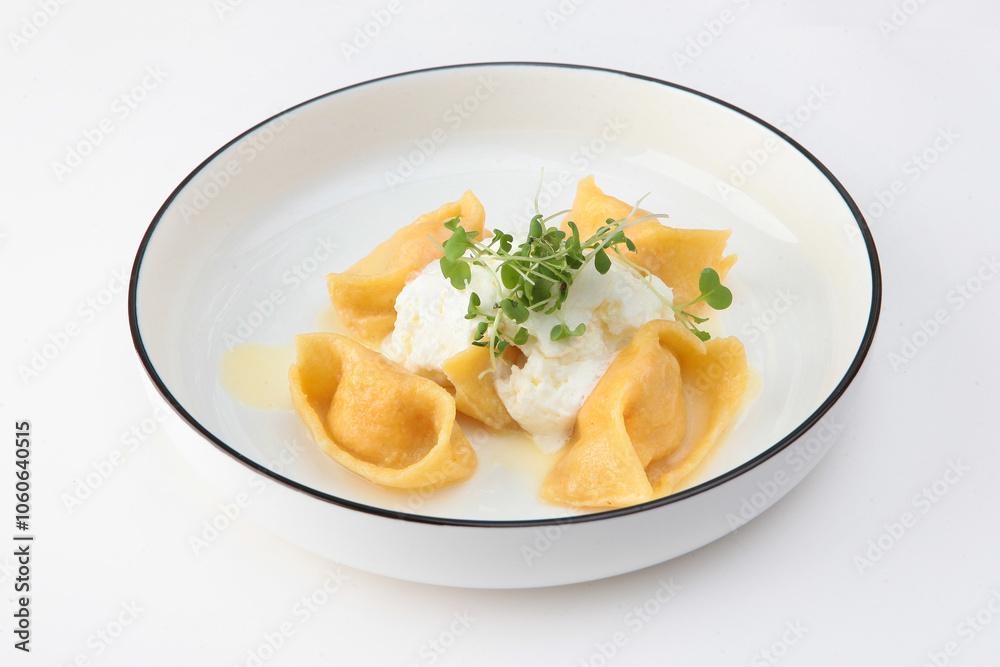 Ravioli with salmon on a white plate. Copy space. Isolated object. Ravioli with salmon on a white plate. Copy space. Isolated object.