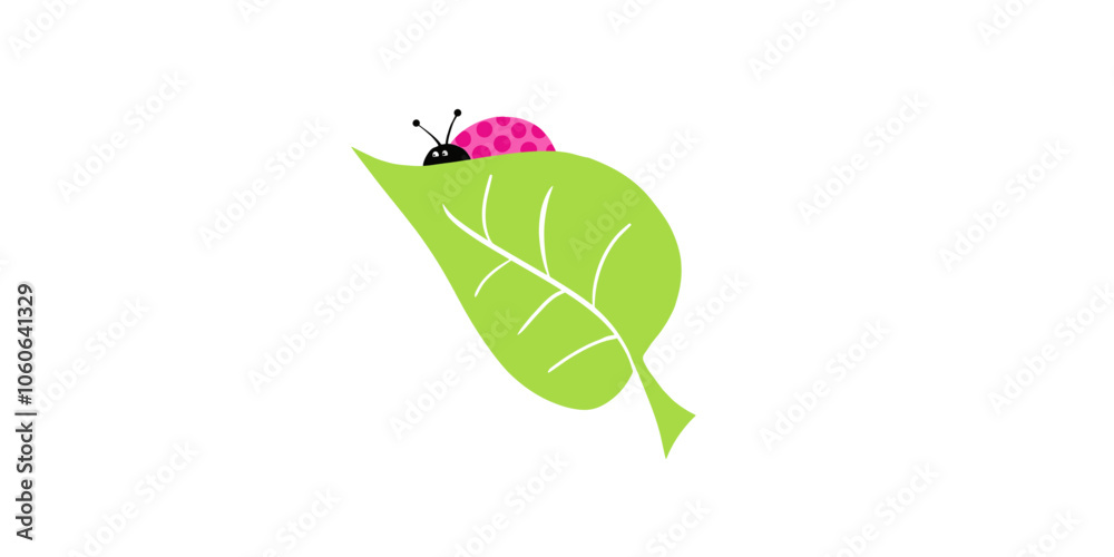 Ilustração Vetorial folha, natureza, planta, isolado, macro, inseto, cercar, close up, primavera, molhar, verão, flora, cadeia alimentar, árvore, branco, vector, joaninha, bichinho de estimação, close