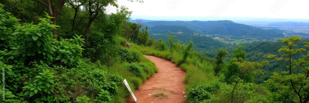 A scenic pathway cutting through a lush forest leading from point A to point B, countryside, tranquility A scenic pathway cutting through a lush forest leading from point A to point B, countryside, tranquility