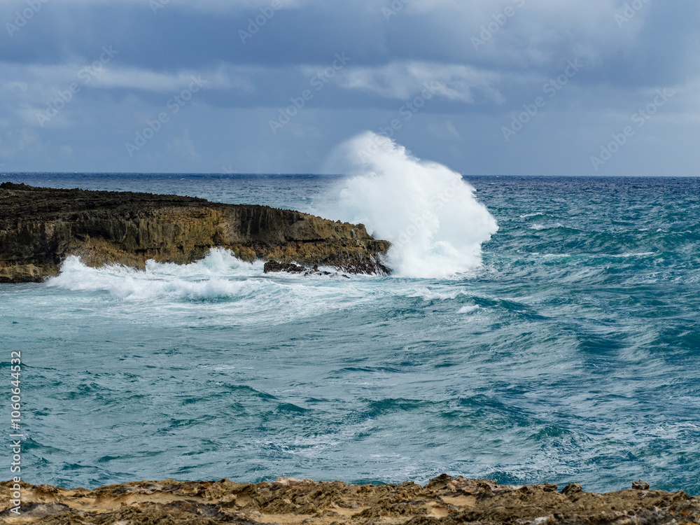 Fototapeta premium waves crashing into a clifff in Hawaii