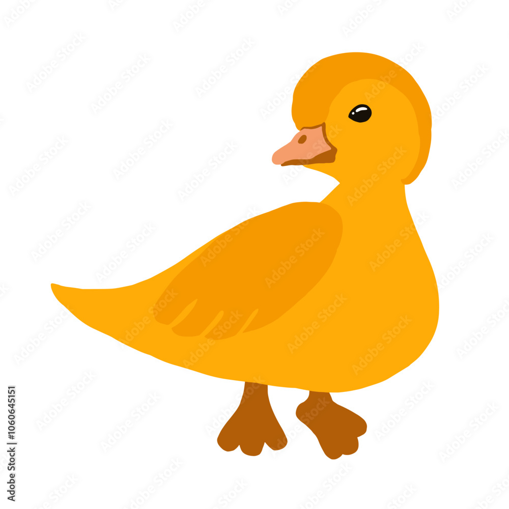 SS_habbit_spring pato, ave, caricatura, animais, vector, amarelo, ilustração, patinho, bebé, brinquedo, isolado, divertimento, bico, molhar, revestir com borracha, bonito, natureza, banho, cômico, gal